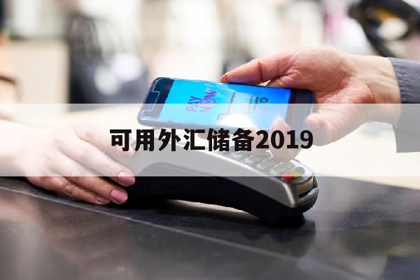 可用外汇储备2019(外汇储备可以用于国外投资吗)