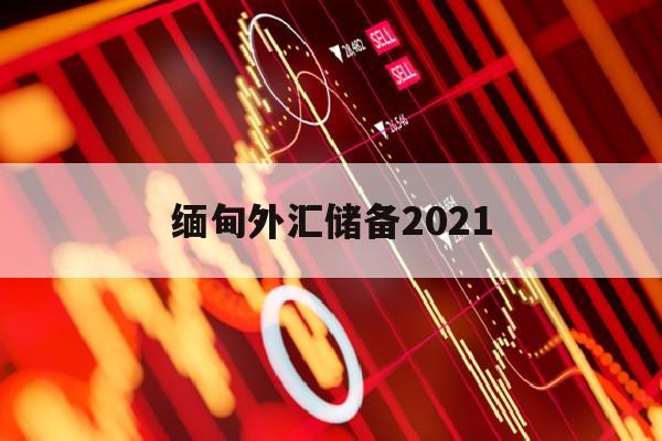 缅甸外汇储备2021(缅甸做外汇)