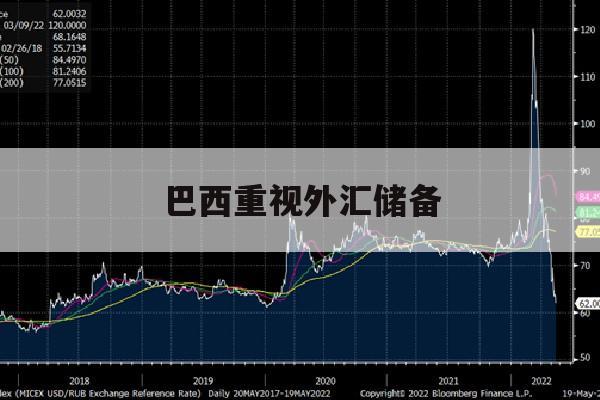 巴西重视外汇储备(巴西外汇市场)