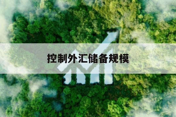 控制外汇储备规模(外汇储备规模过大有什么影响)