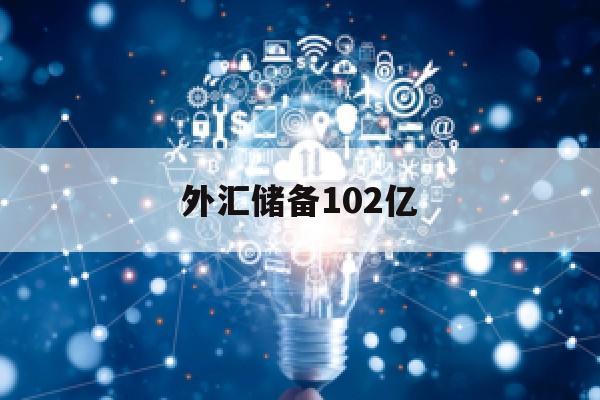 外汇储备102亿(外汇储备总量)