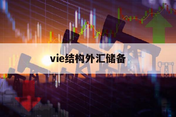 包含vie结构外汇储备的词条