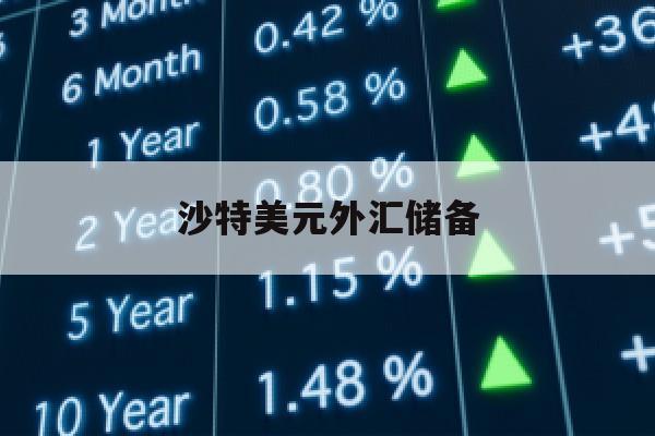 沙特美元外汇储备(沙特外汇储备2020年底)