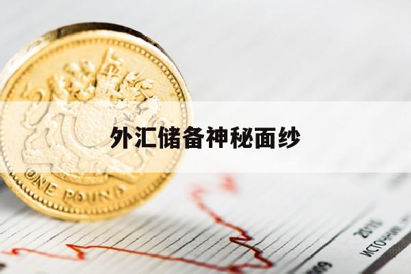 外汇储备神秘面纱(外汇储备意味着什么)