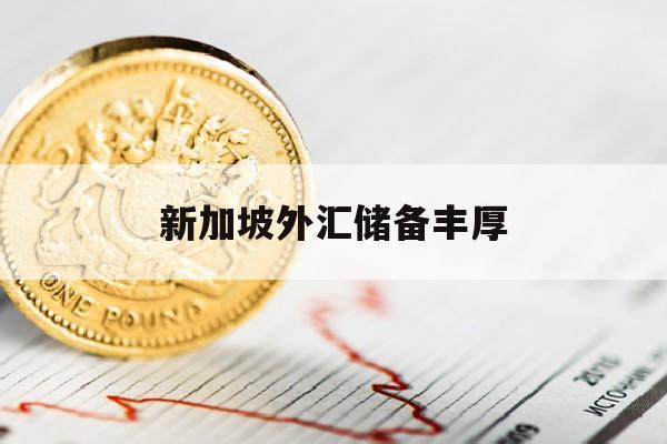 新加坡外汇储备丰厚(新加坡的外汇依存度超过)