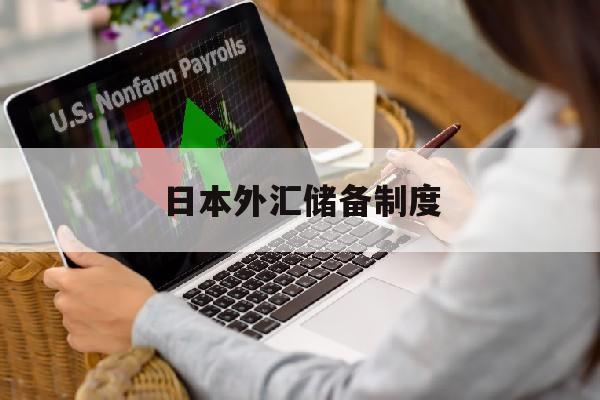 日本外汇储备制度(日本外汇储备多少亿美元)