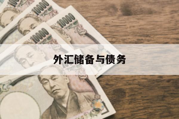 外汇储备与债务(外汇储备状况与外债水平对汇率的影响)