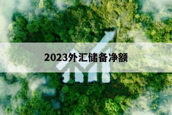 2023外汇储备净额(外汇储备净值跌破1万亿)