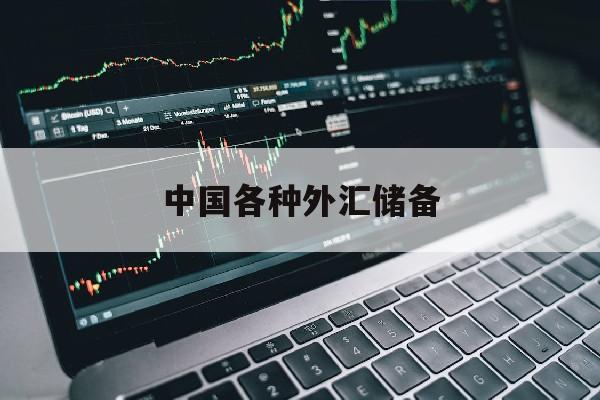 中国各种外汇储备(中国外汇储备情况分析)