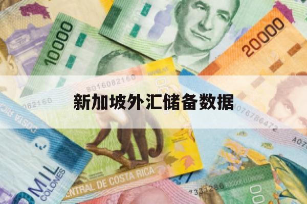 新加坡外汇储备数据(新加坡外汇储备2021)