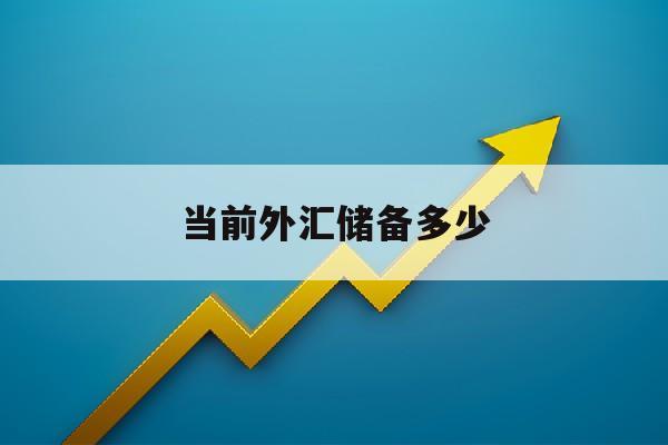 当前外汇储备多少(2021外汇储备有多少)