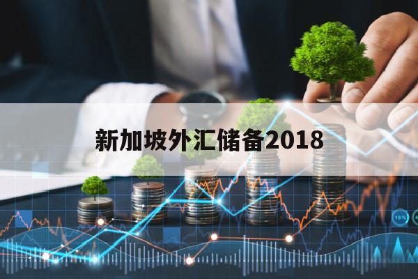 新加坡外汇储备2018(新加坡外汇储备2030目标)