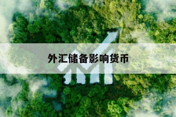 外汇储备影响货币(外汇储备影响货币汇率吗)