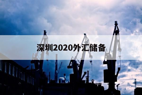 深圳2020外汇储备(外汇在深圳试点了吗是真的吗)