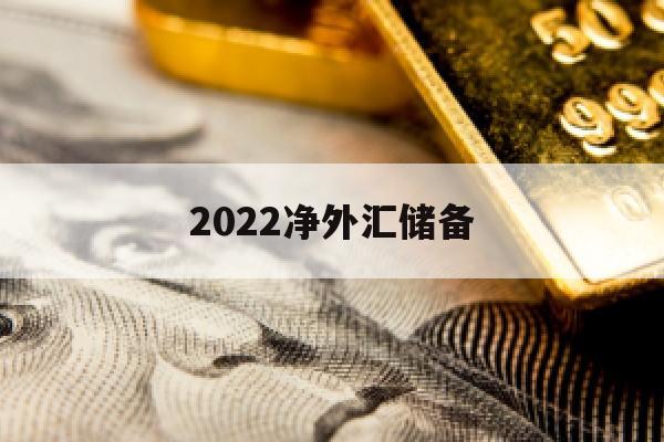 2022净外汇储备(外汇储备净额什么意思)