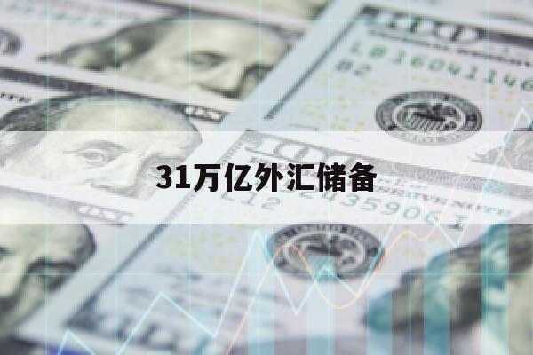 31万亿外汇储备(中国的3万亿外汇储备组成)