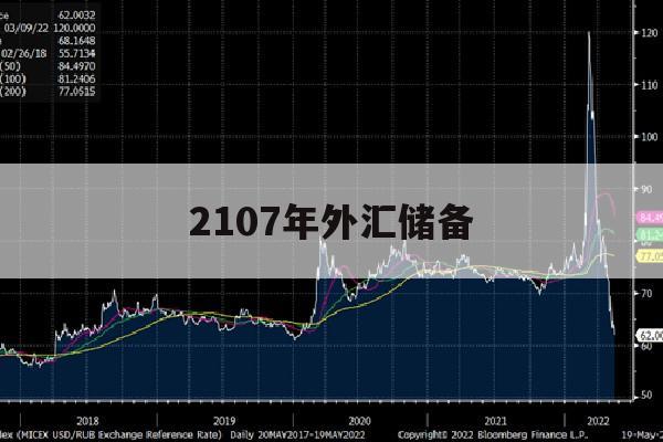 2107年外汇储备(2020年 外汇储备)