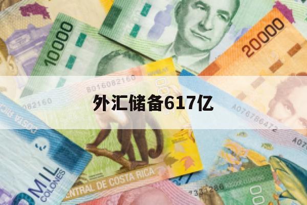 外汇储备617亿(外汇储备增多)