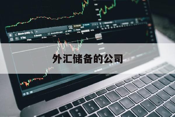 外汇储备的公司(外汇储备有多少外资企业的)