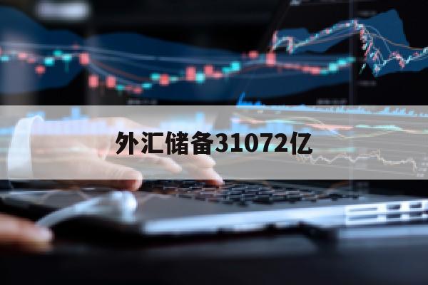 外汇储备31072亿(外汇储备突破3万亿美元)