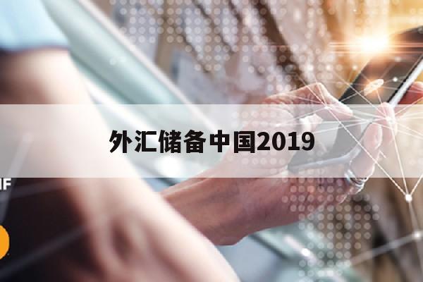 外汇储备中国2019(外汇储备中国际投资占比)