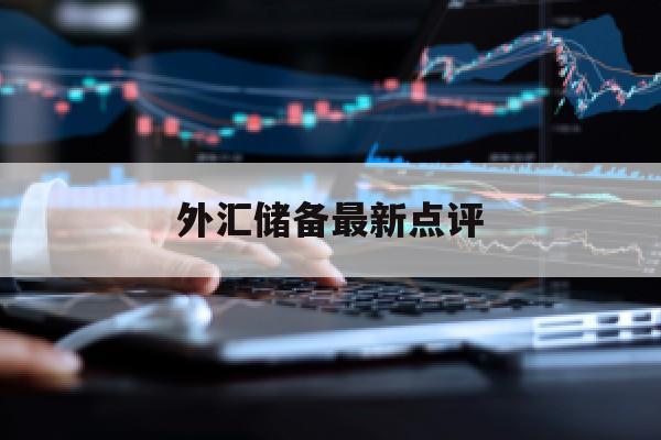 外汇储备最新点评(外汇储备最新点评报告)