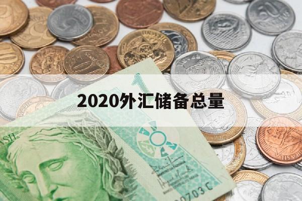 2020外汇储备总量(2020外汇储备有多少)