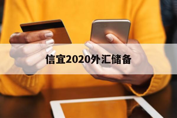 信宜2020外汇储备(2020年外汇储备是多少)