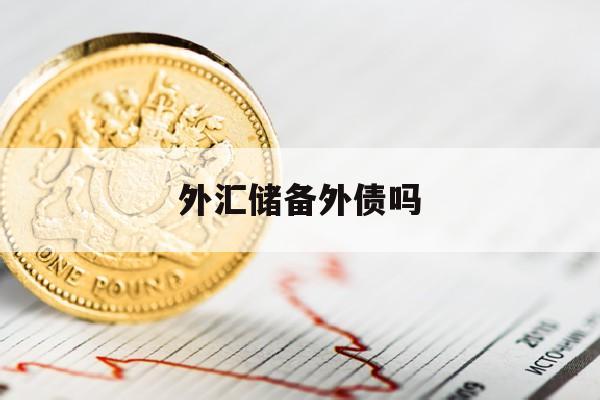 外汇储备外债吗(外汇储备和外债有什么区别)