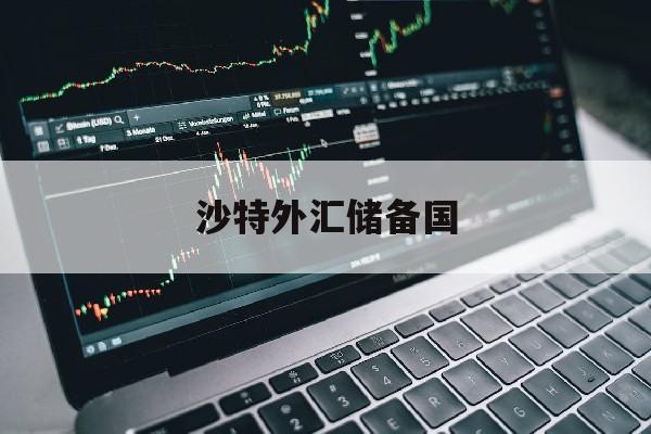 沙特外汇储备国(沙特外汇储备2020年底)