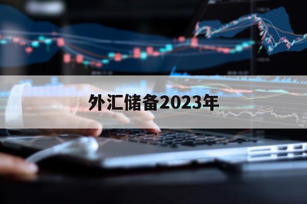 外汇储备2023年(外汇储备2023年5月)