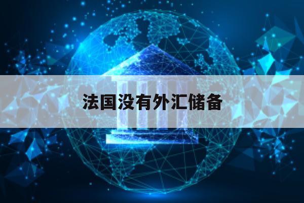 法国没有外汇储备(法国没有外汇储备吗)