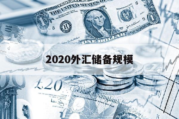 2020外汇储备规模(2020年外汇储备分析)