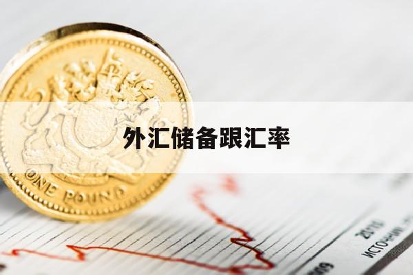 外汇储备跟汇率(外汇储备与人民币汇率的关系)