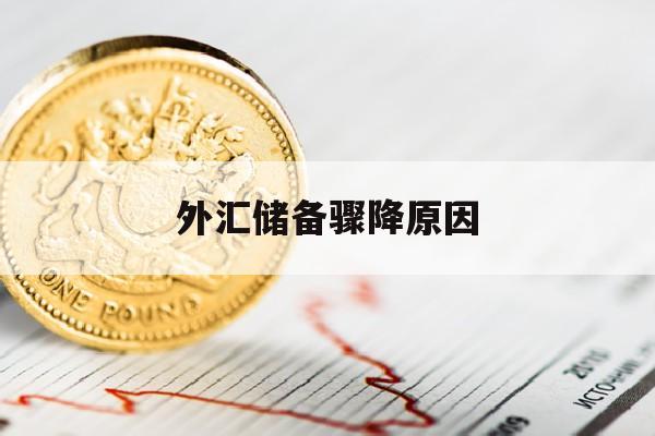 外汇储备骤降原因(外汇储备规模下降影响)