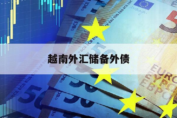 越南外汇储备外债(2021年越南外汇储备是多少)