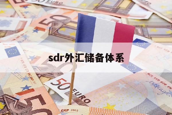 sdr外汇储备体系(中国以后的外汇储备都将以sdr计价)