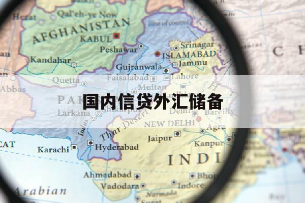 国内信贷外汇储备(国内外汇贷款管理办法)