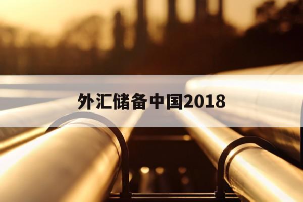 外汇储备中国2018(外汇储备中国际投资占比)