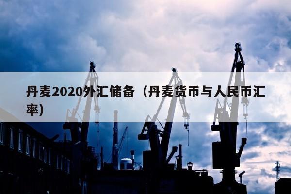 丹麦2020外汇储备（丹麦货币与人民币汇率）