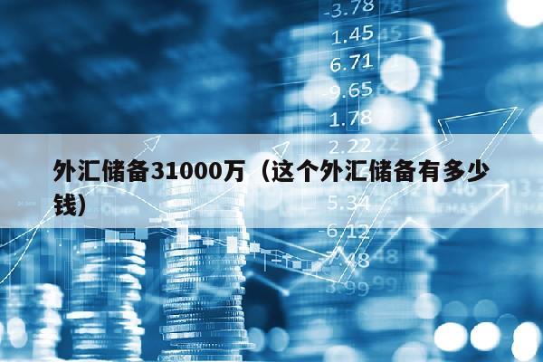 外汇储备31000万（这个外汇储备有多少钱）