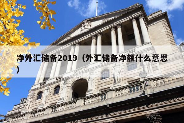 净外汇储备2019（外汇储备净额什么意思）