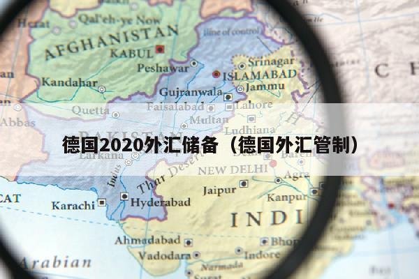 德国2020外汇储备（德国外汇管制）