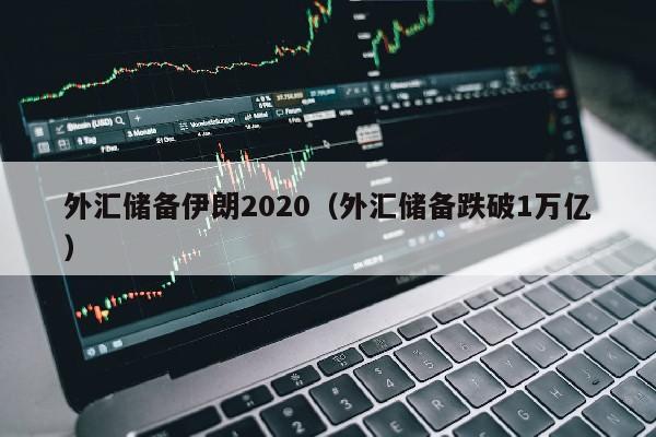 外汇储备伊朗2020（外汇储备跌破1万亿）