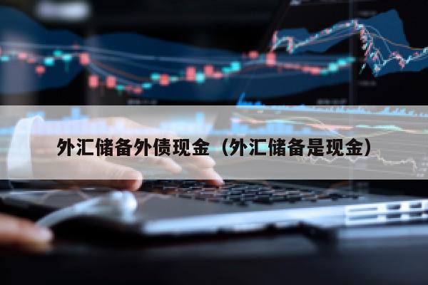 外汇储备外债现金（外汇储备是现金）