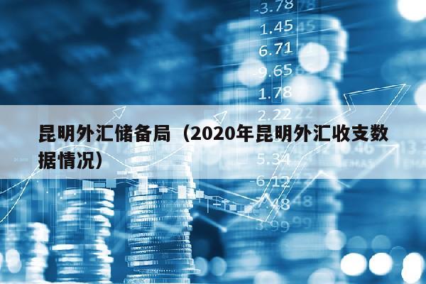 昆明外汇储备局（2020年昆明外汇收支数据情况）