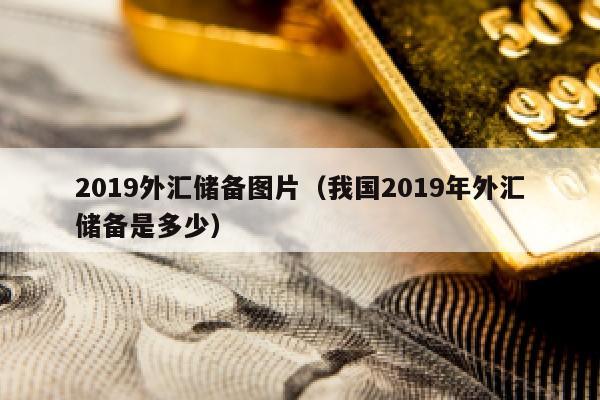 2019外汇储备图片（我国2019年外汇储备是多少）