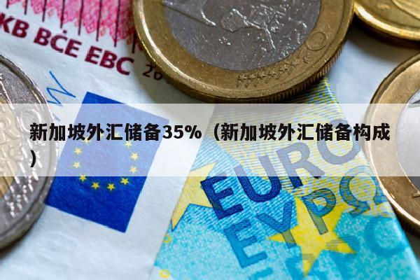 新加坡外汇储备35%（新加坡外汇储备构成）