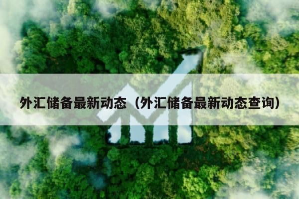 外汇储备最新动态（外汇储备最新动态查询）