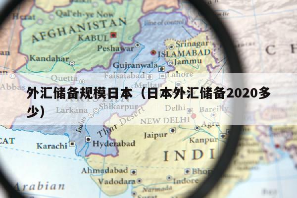 外汇储备规模日本（日本外汇储备2020多少）